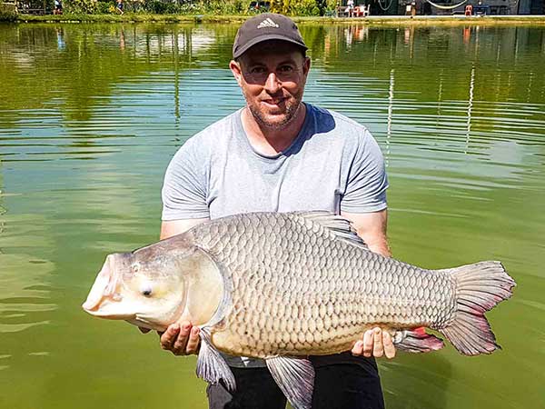 查龙垂钓公园的暹罗鲤